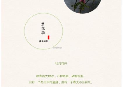 牡丹花开动洛城